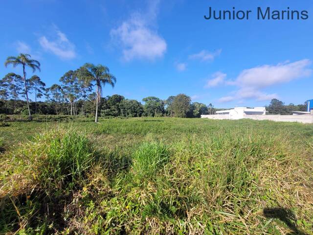 Área para Venda em Balneário Barra do Sul - 4
