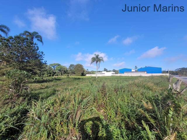 Área para Venda em Balneário Barra do Sul - 5
