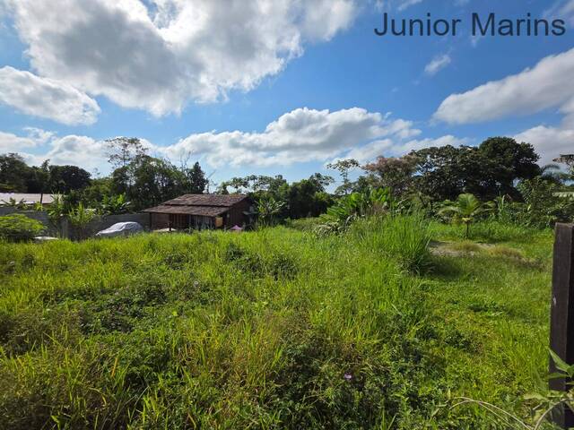 Área para Venda em Balneário Barra do Sul - 3