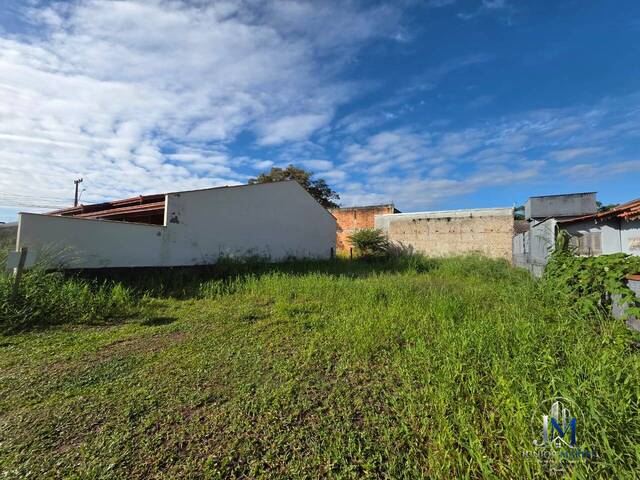 Área para Venda em Balneário Barra do Sul - 4
