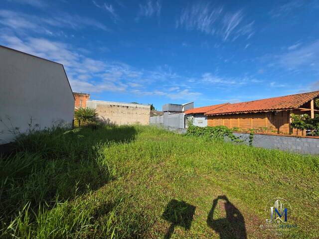 Área para Venda em Balneário Barra do Sul - 5