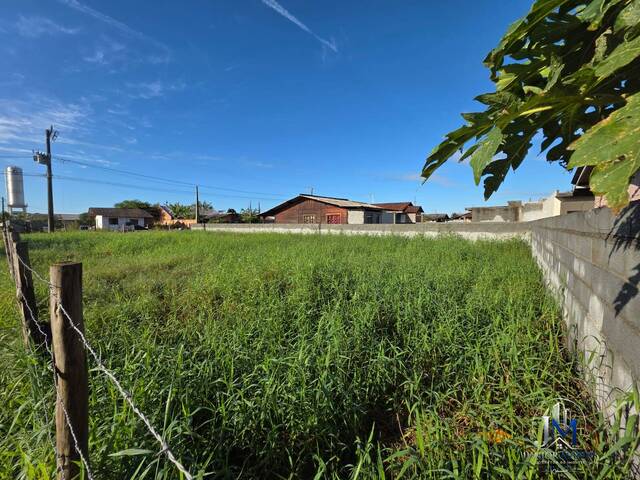 Área para Venda em Balneário Barra do Sul - 4