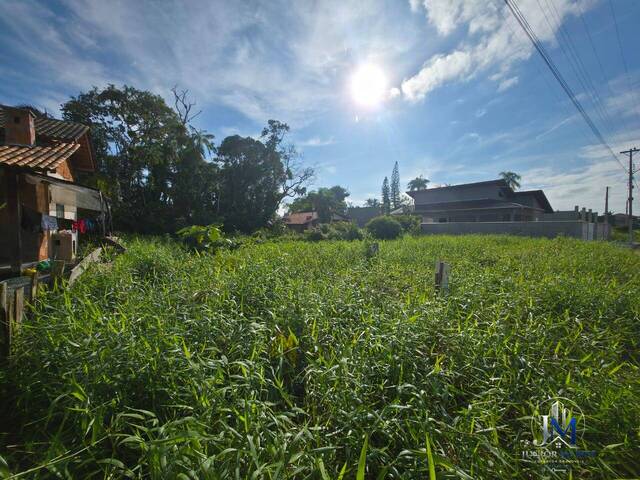 Área para Venda em Balneário Barra do Sul - 5