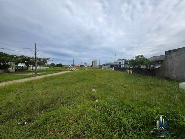 Área para Venda em Balneário Barra do Sul - 5