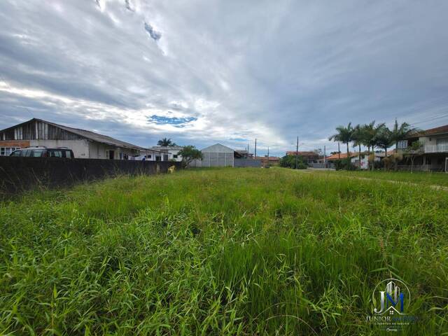 Área para Venda em Balneário Barra do Sul - 3