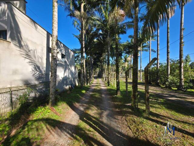 Venda em Pinheiros - Balneário Barra do Sul