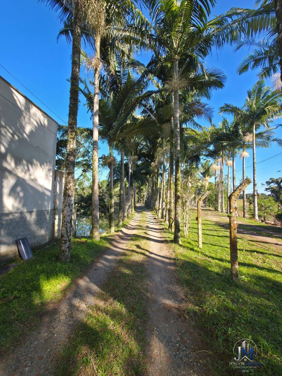 Casa, 4 quartos - Foto 4